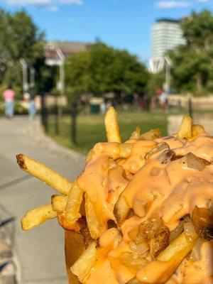 Plated Fries at Smorgasburg, $7 (shoestring fries, grilled onions, and special sauce)  on a sunny day