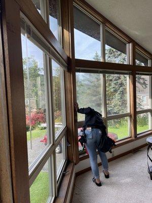 Residential Window Cleaning is a must for spring!