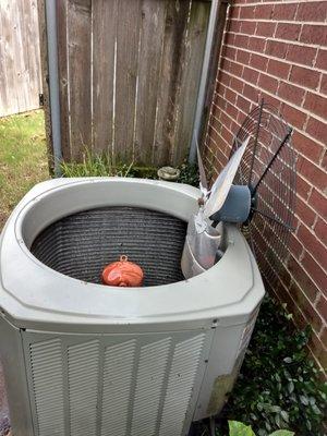 Outdoor AC Unit Spring Inspection