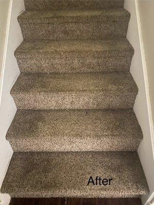 Stairs after cleaning