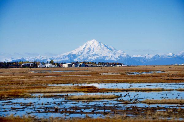 View from across the river with Mt. Redoubt showing off.