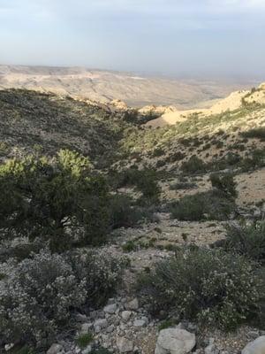 Little Zion is at the bottom of this valley