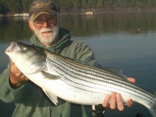 Striper Fishing!