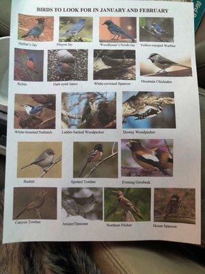 These are the birds in common one should see around Santa Fe...I've seen many others! This is a fun thing for kids to engage in