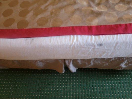 Black spots on the end of the bed.