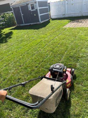 grass cutting