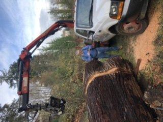 60" diameter Redwood