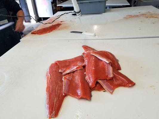 Some of the fresh filets before they where vacuum sealed.