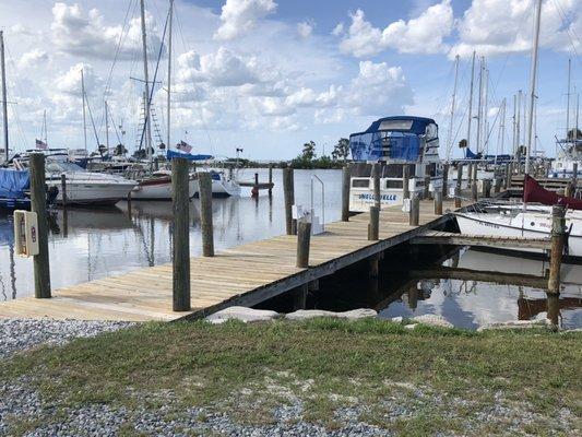 200 American Flags out on our pilings in honor of independence day!