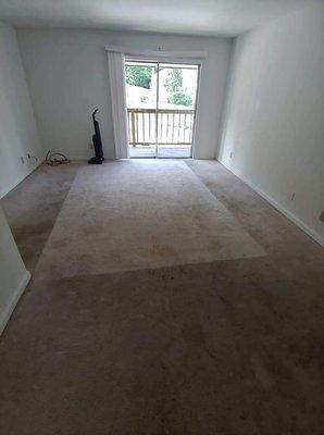 Professional carpet cleaning