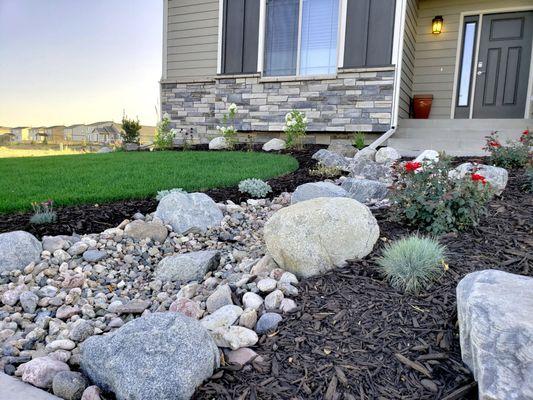 Finished Landscaping and rain gutter drain in Timnath Ranch.