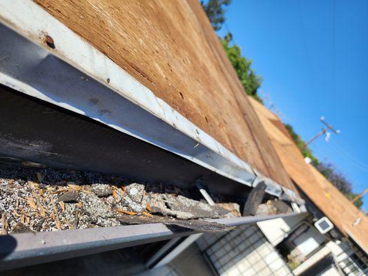 Debris left in our rain gutters.