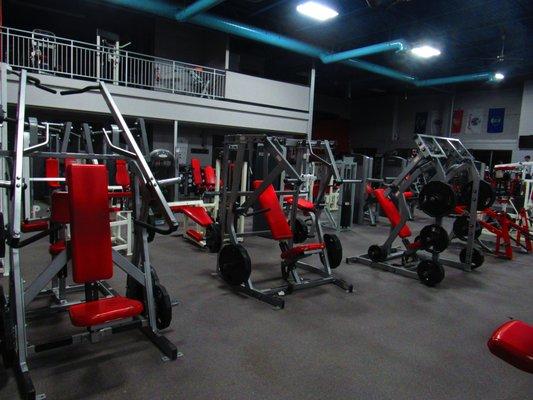 Hammer Strength Equipment for Optimal Muscle Building