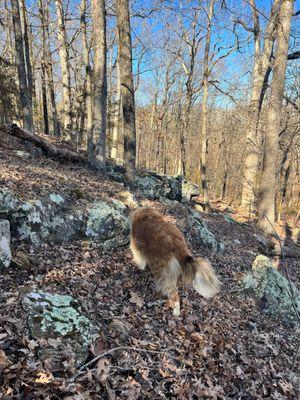 Beautiful hills, rocks, caves, streams around great hiking,horse, atv trails, cabins, and pool for the kids in this state park.