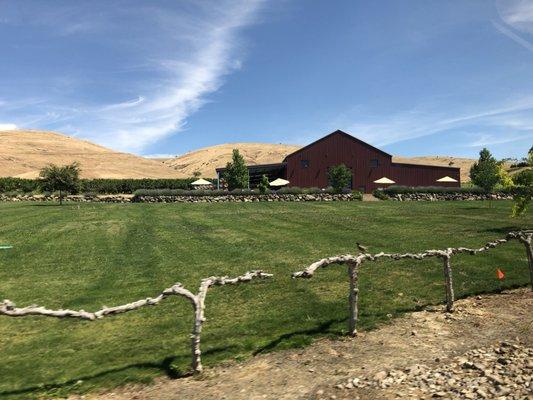 Wine area near Yakima