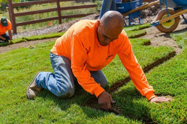 Sod Installation