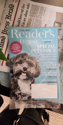 Magazine in the lobby. Looks like MY pup who visits!