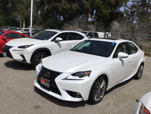 Dch Lexus loaner vehicle. Pilkington windshield.