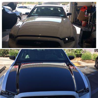 Amazing transformation on this white Mustang.. We placed a black vinyl wrap hood to trunk .. Looks like a whole different car..