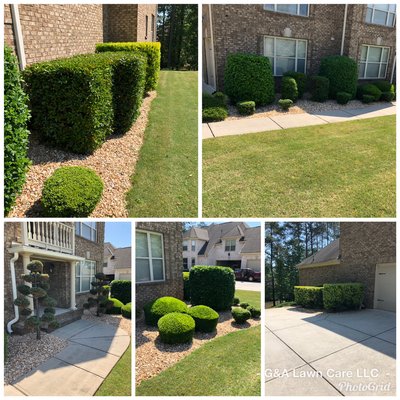 Manicure Hedges