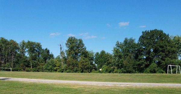 soccer field