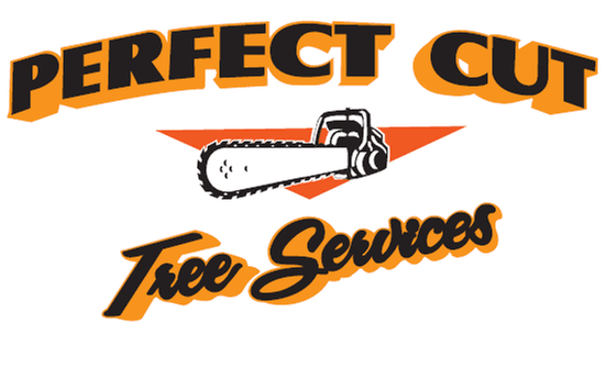 Perfect Cut Tree Service