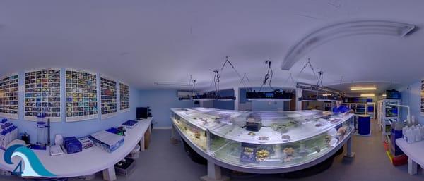 Invertebrate Section