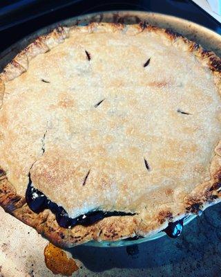 Blueberry Vodka Pie