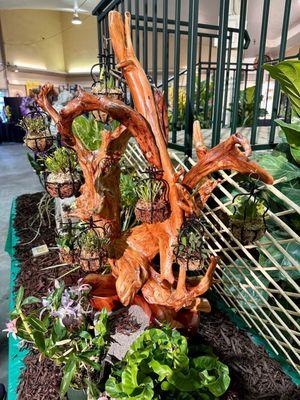 Driftwood art piece with orchid baskets