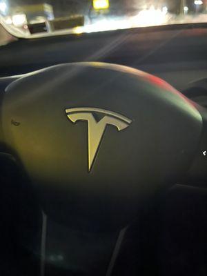 Tesla Logo