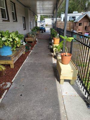 Main walkway between our office building and our enclosed play area for children.