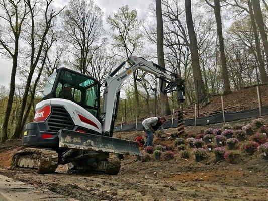 Landscape Plantings