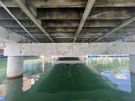 Under the bridge