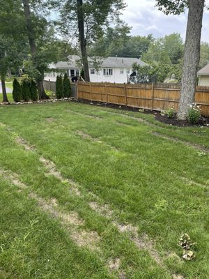 This is my backyard 8 weeks after Ground hog lawns care "fixed" my lawn.