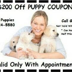 $200 Off Coupon With Appointment!  Call or Text 631-624-5580 www.islandpuppies.com #puppiesforsale # cute puppies # private ...