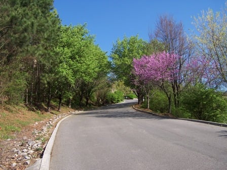 Eastowne's tree-lined entrance in the Springtime.