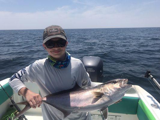 Amberjack