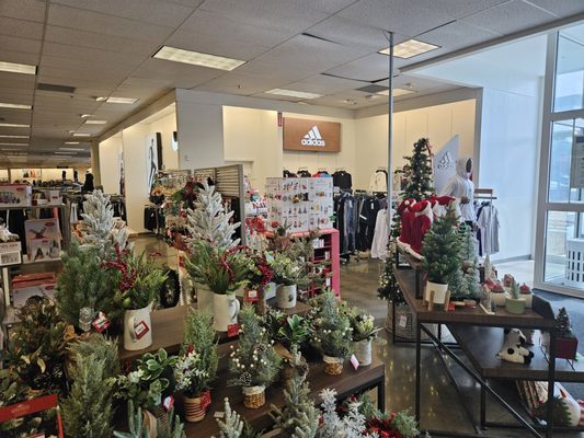 Oh, well, there's the men's Adidas apparel, stuffed in the corner behind the Christmas decor!