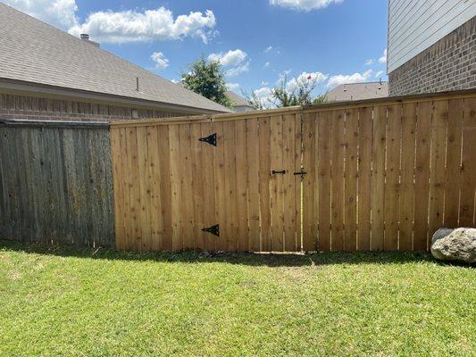 New fence