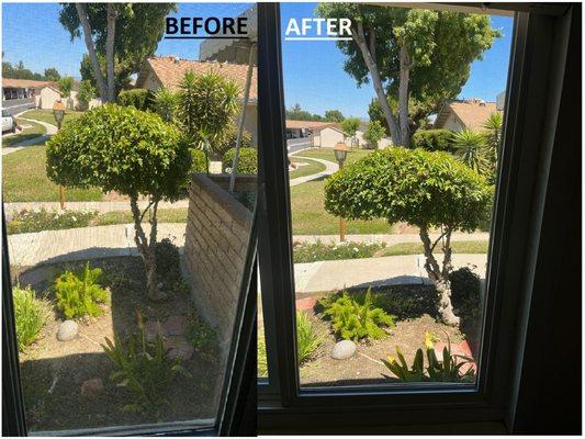 Make your home brighter! Clean windows make everything look better! Call today for your professional window cleaning.