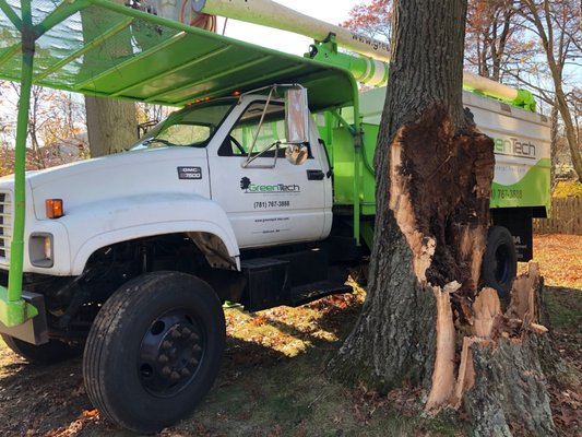 Green Tech Tree Care