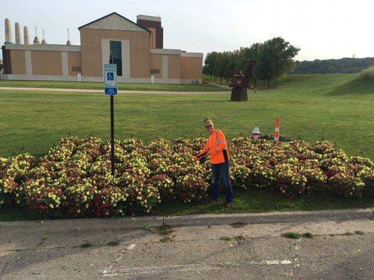 Ron Clesens Ornamental Plants