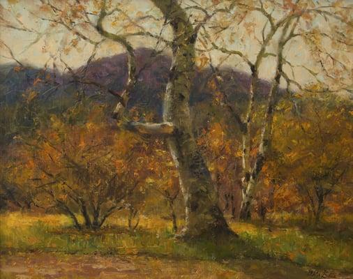 Autumn Glow 16x20" Oil Artist Mitch Billis