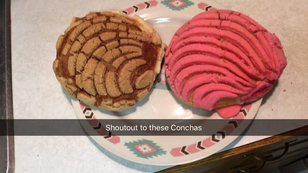 Amazing concha (sea shell) sweet bread!