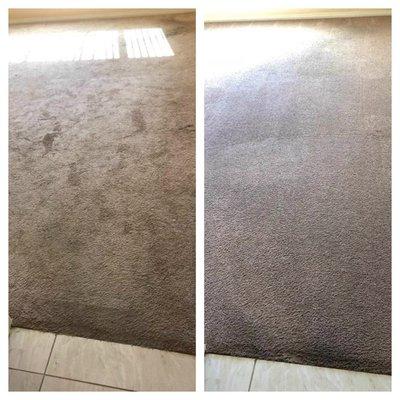 Carpet cleaning