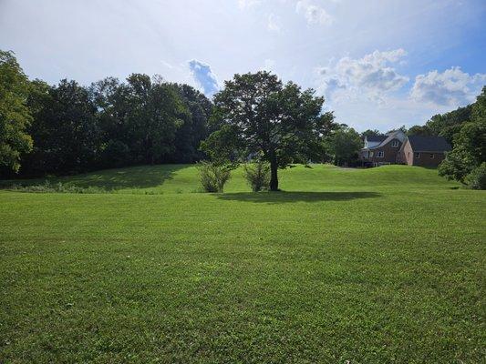 Cookeville Lawn Care