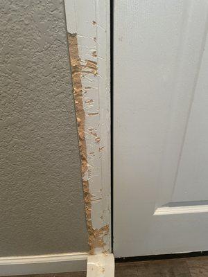 Dog chewed door frame.