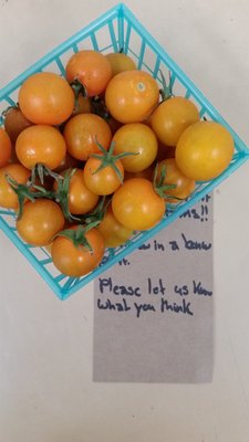 They sent me some bonus super sweet cherry tomatoes, with a hand written note.