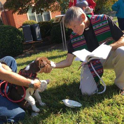 Jesus loves me. You, me, every animal, and all creation. Every October, we give thanks for all God's critters in a Blessing of the Animals.