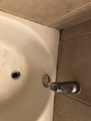 Mold in and around shower